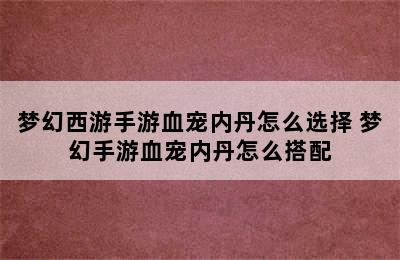 梦幻西游手游血宠内丹怎么选择 梦幻手游血宠内丹怎么搭配